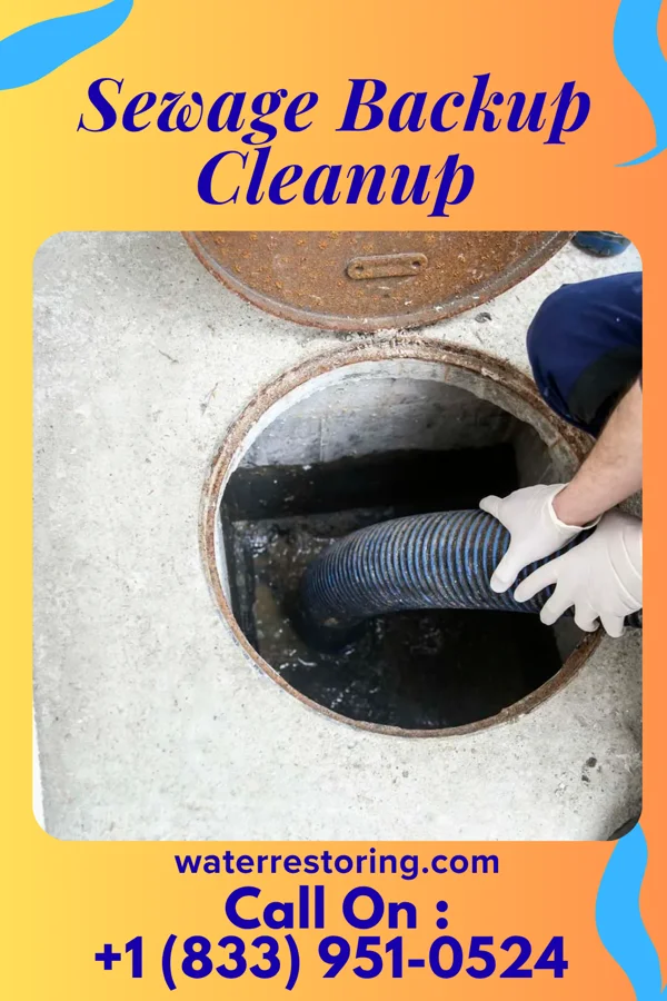 Sewage Backup Cleanup in Hailey, ID